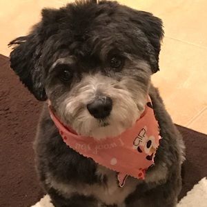 Meet your Posher, Heather